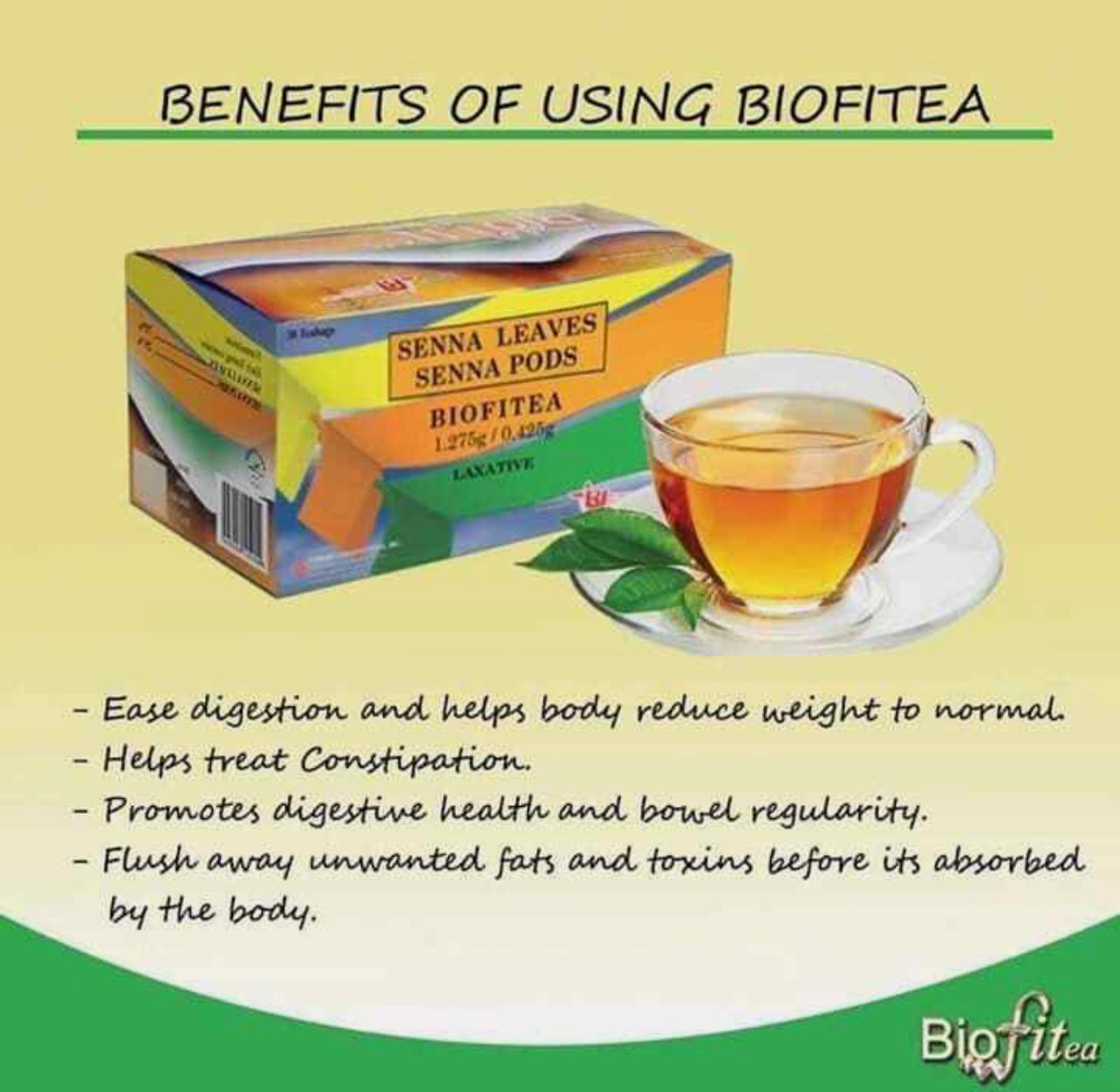 Biofit Tea 33 sachets